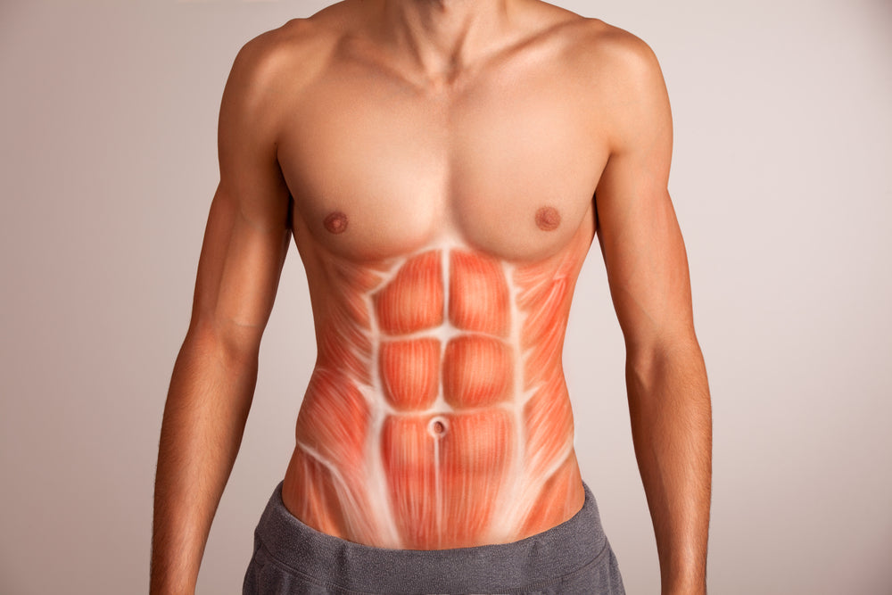 Why You Need To Build A Strong Core: Benefits and How To Strengthen The Abdominals