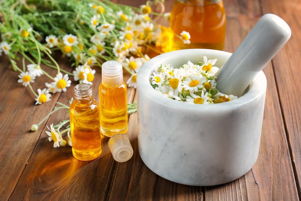 All About Chamomile: Benefits, Dosage and More - BrickHouse Nutrition