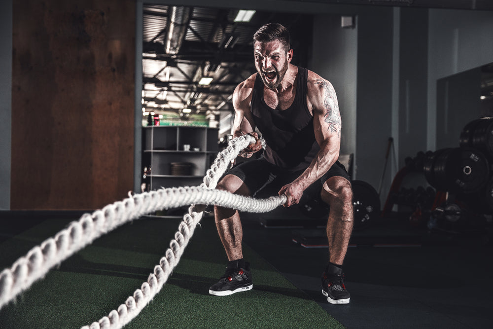 Rope Rage How Battle Ropes Build Strength and Blast Fat