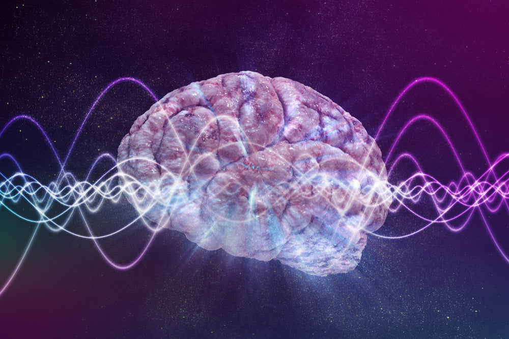 Biohacking: The Best Nootropic Supplements To Try This Year