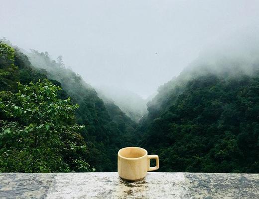 caffeine anhydrous compared to caffeine in coffee