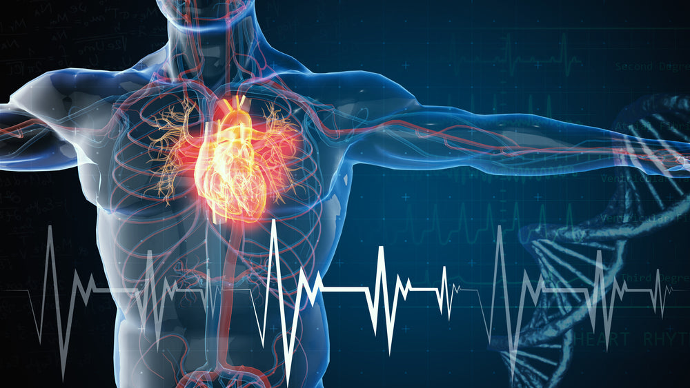 The Over 50 Guide To Heart Health