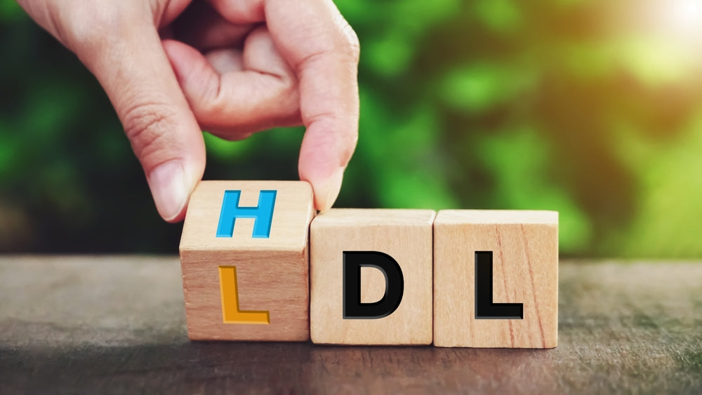 From Confusion to Control: Your Essential Guide to Understanding Cholesterol
