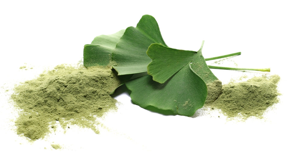 Should You Use Ginkgo Biloba? We Think You Should