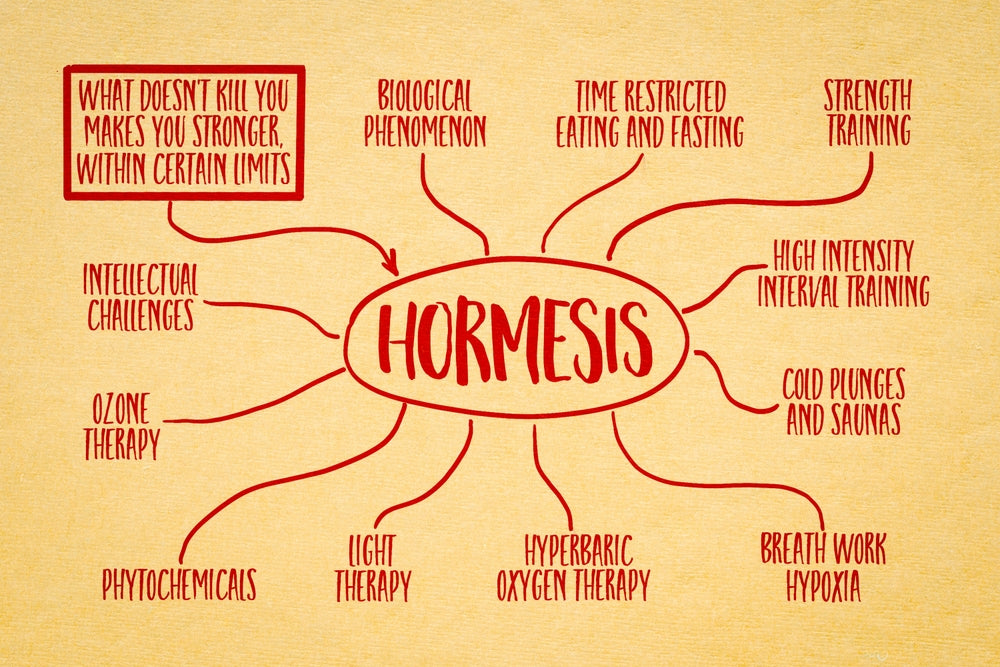 The Science of Hormesis: Why Small Stresses Make You Stronger