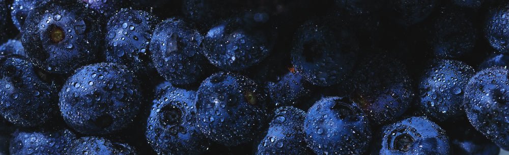 Organic Blueberry - BrickHouse Nutrition