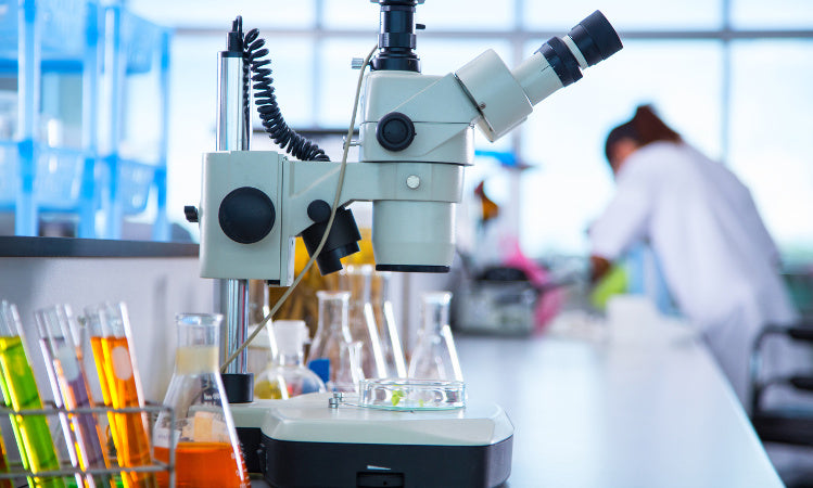 The Architect's Update October 2018