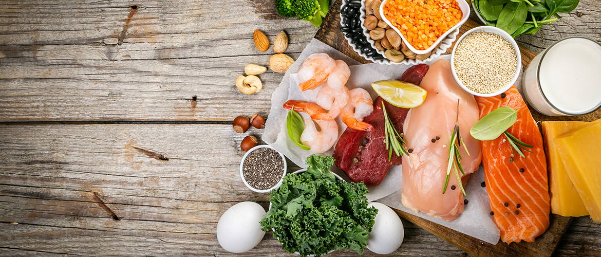 Plant Protein vs. Animal Protein: Which One is Best?