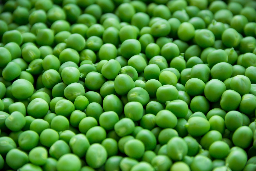 what's the best plant protein