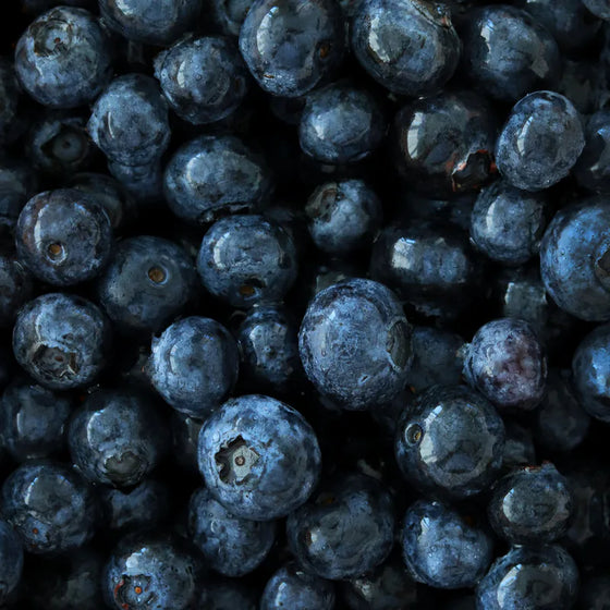 Organic Blueberry