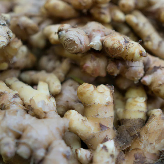 Organic Ginger