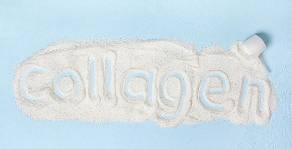 type 2 collagen benefits