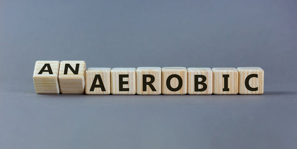 Aerobic Vs Anaerobic Exercise: What's The Difference?