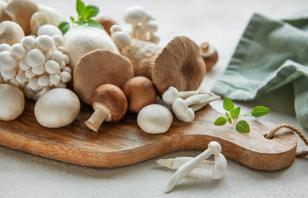 Ergothioneine: The Longevity Vitamin Hiding in Mushrooms