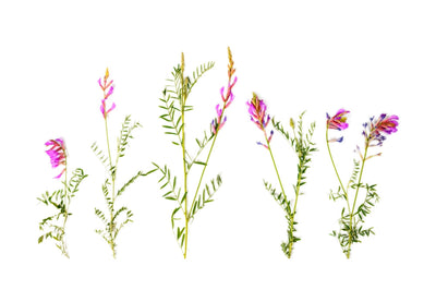 Is InnoSlim® the Missing Link in Your Weight Loss Journey? Thumbnail