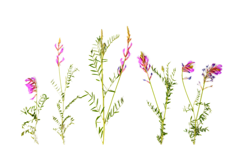 Is InnoSlim® the Missing Link in Your Weight Loss Journey?