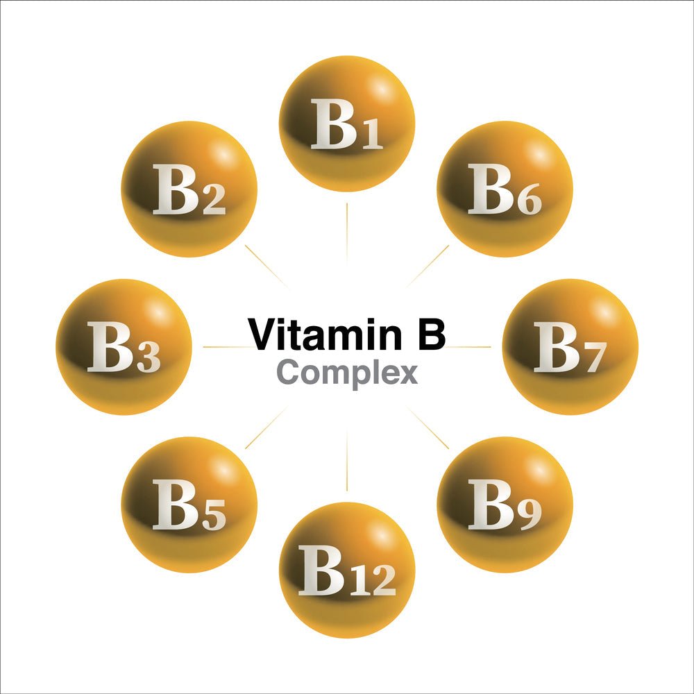 B Vitamins: Just How Important Are They? - BrickHouse Nutrition