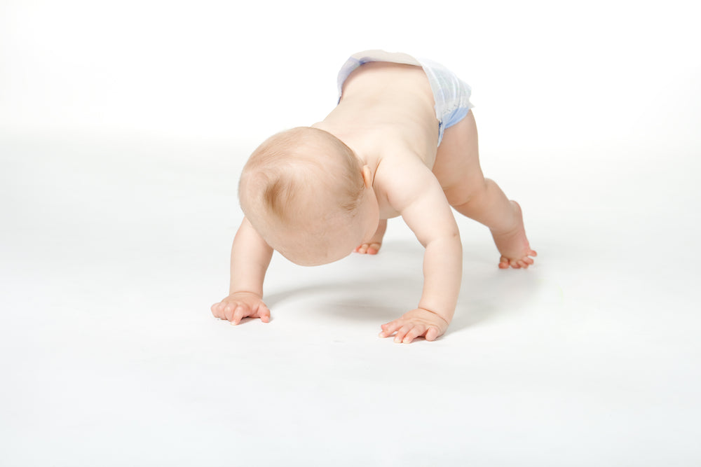 The Health Benefits of Quadrobics: Why Quadripedal Training Is Good For You