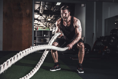 Rope Rage: How Battle Ropes Build Strength and Blast Fat Thumbnail