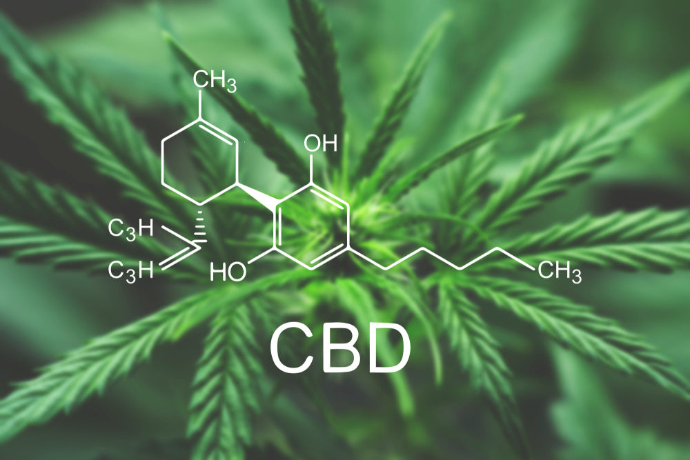 What Are The Benefits Of CBD? What We Know About This Mysterious Oil