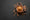 Cinnamon: The Spice of Life - A Comprehensive Overview