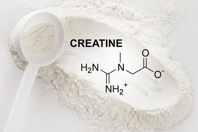 Creatine Revisited: Surprising Benefits You Did Not Know About Thumbnail