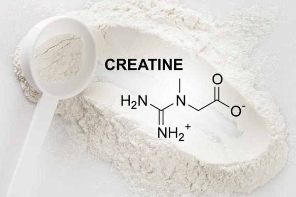 Creatine Revisited: Surprising Benefits You Did Not Know About