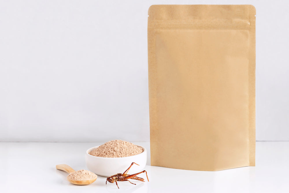 What’s All the Buzz About Insect Protein? Why Insect Protein Is A Must Try