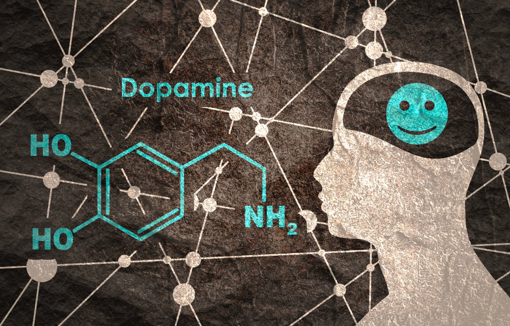 Dopamine: What It Is, Benefits, and More