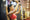 female muscle growth
