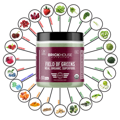 The Benefits of Flavonoids: A Comprehensive Review Thumbnail