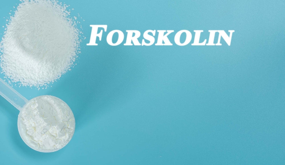 The Science Behind Forskolin: Understanding How It Works in the Body