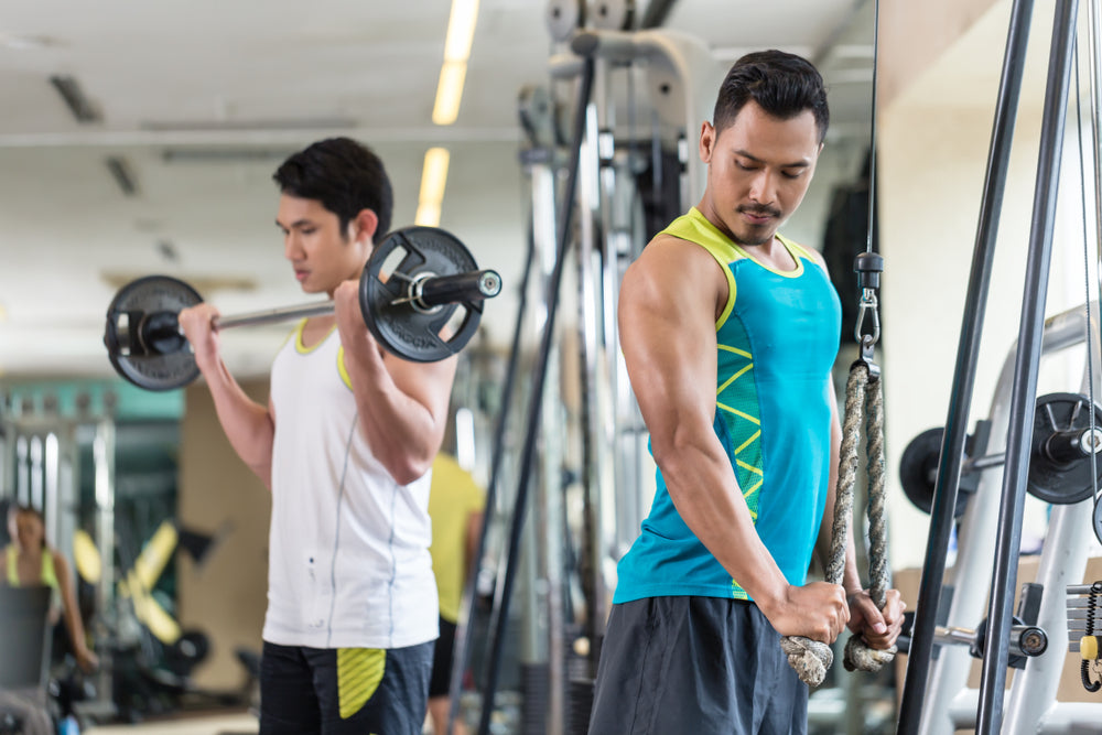 Workout Wars: What's Better, Machines or Free Weights?