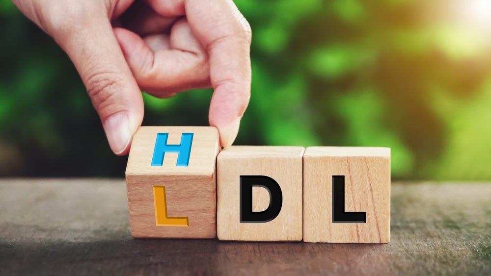 From Confusion to Control: Your Essential Guide to Understanding Cholesterol - BrickHouse Nutrition