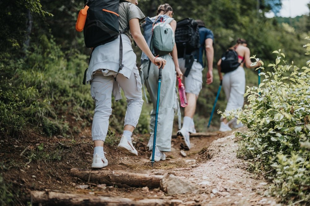 From Couch to Summit: A Beginner's Guide to Hiking Fitness - BrickHouse Nutrition