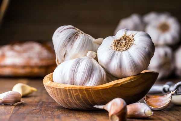 The Wonderous Bulb: The Many Benefits Of Garlic
