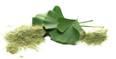 Should You Use Ginkgo Biloba? We Think You Should Thumbnail