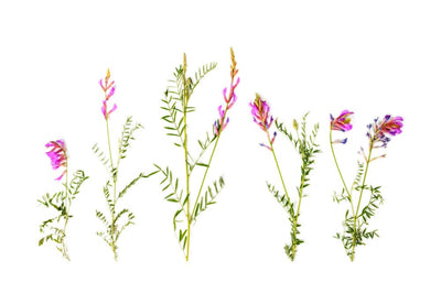 Is InnoSlim® the Missing Link in Your Weight Loss Journey? Thumbnail