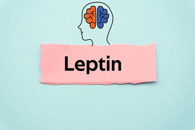 Is Obesity in Your Genes? The Pivotal Role of Leptin and Leptin Resistance Thumbnail