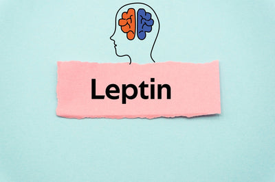 Is Obesity in Your Genes? The Pivotal Role of Leptin and Leptin Resistance Thumbnail