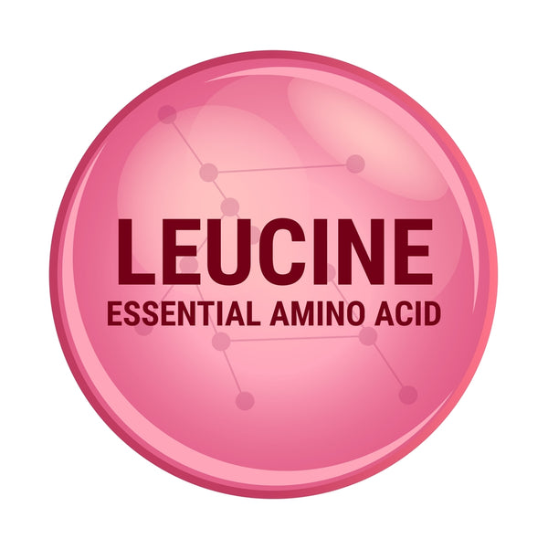 The Remarkable Benefits of Leucine: More Than Meets the Eye