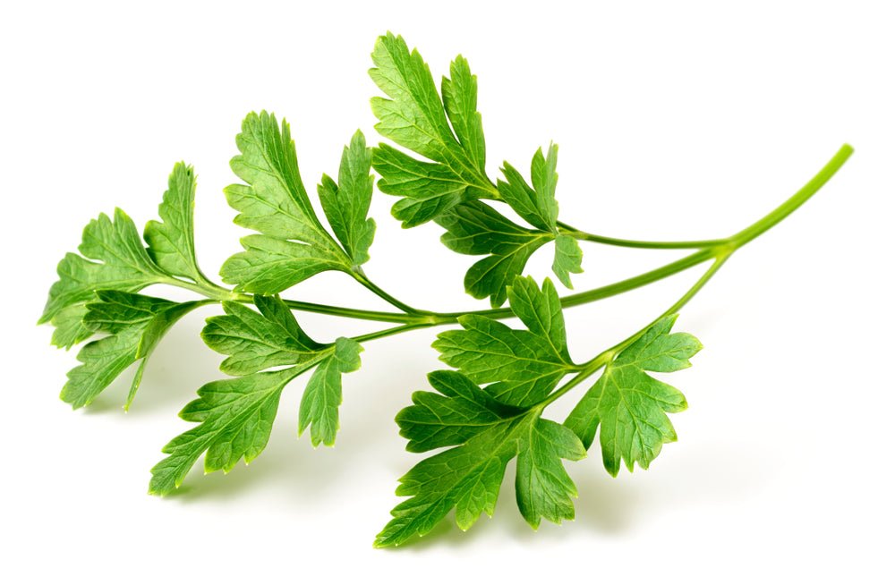 Organic Parsley - BrickHouse Nutrition