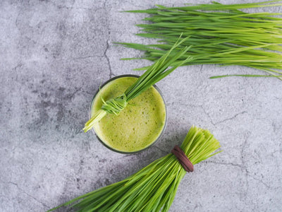Organic Wheatgrass Thumbnail