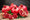 Organic Pomegranate