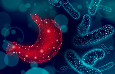 Bacillus Coagulans Thumbnail