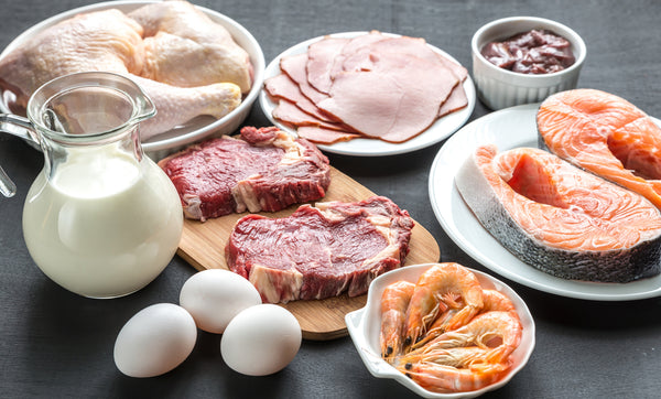 The 11 Most Common Protein Myths Debunked
