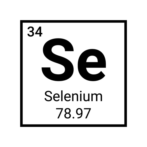Selenium: The Trace Mineral Your Body Needs for Optimal Health