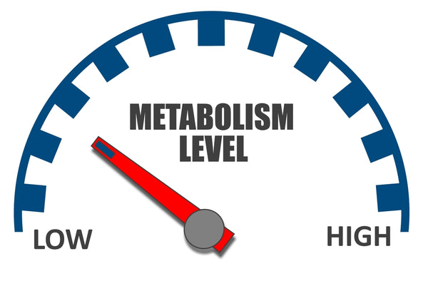 Metabolic Damage: The Reason For Your Poor Weight Control?