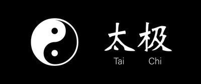 Tai Chi And You: Unlocking the Door to Longevity and Vitality Thumbnail