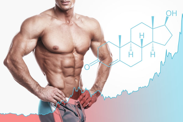 The Best Exercises to Increase Testosterone In A Jiffy